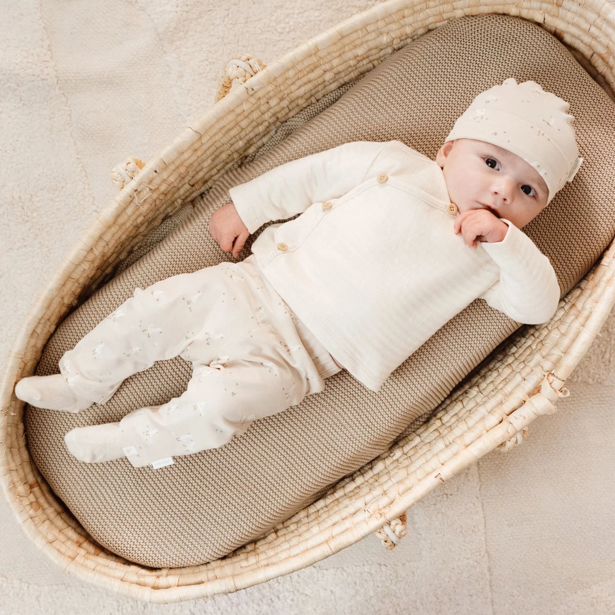 Legging - Beige - Newborn Naturals - Little Goose