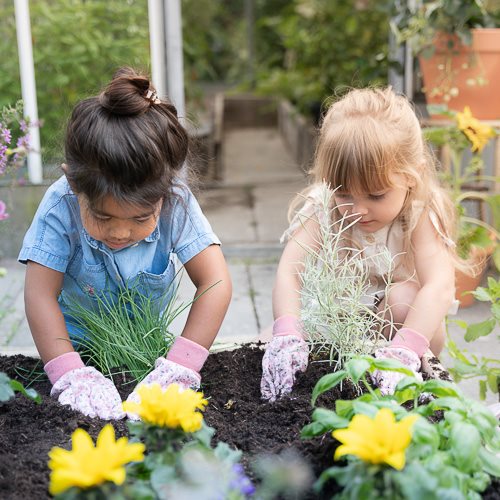 Tuinhandschoenen - Roze - Fairy Garden