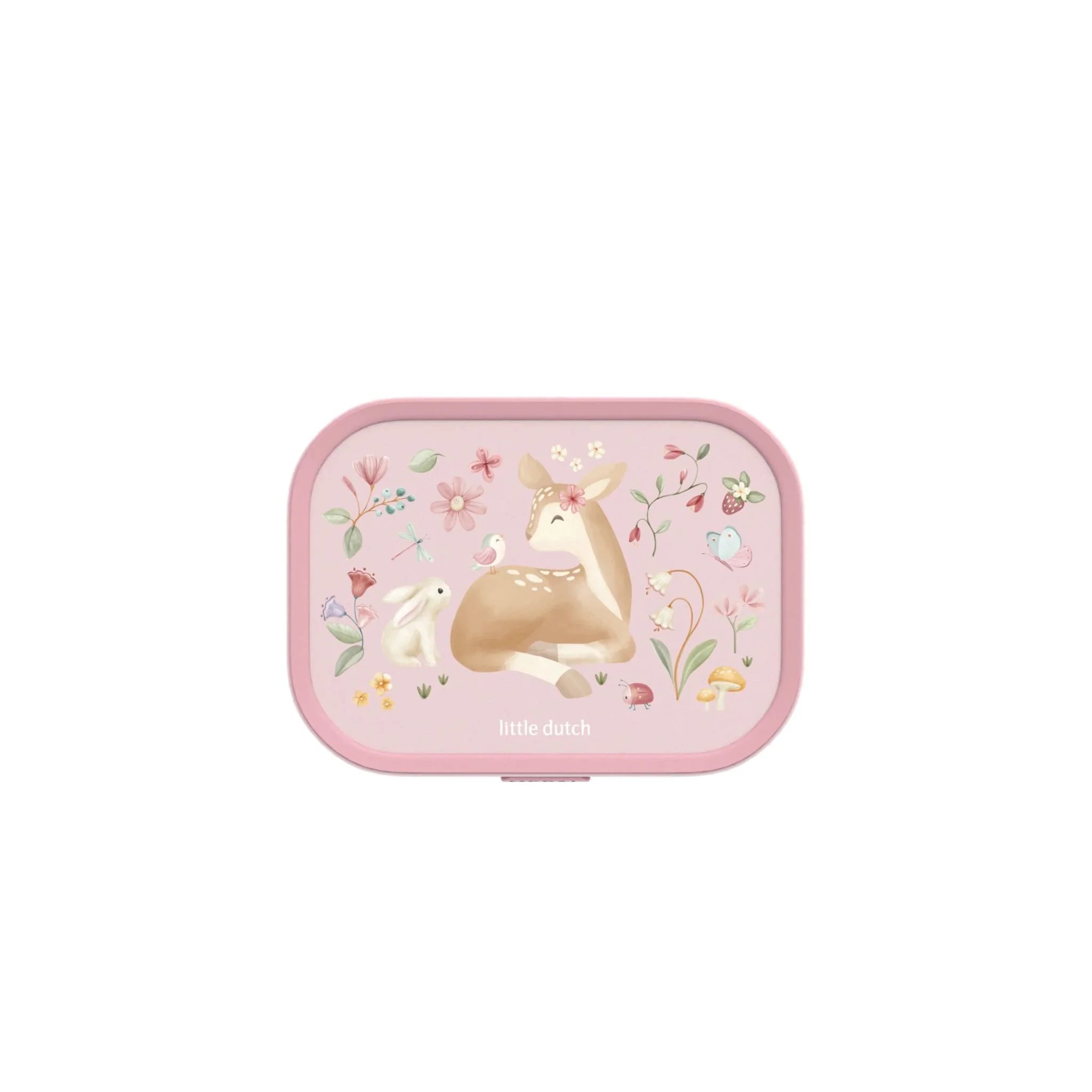 Lunchbox Fairy Garden