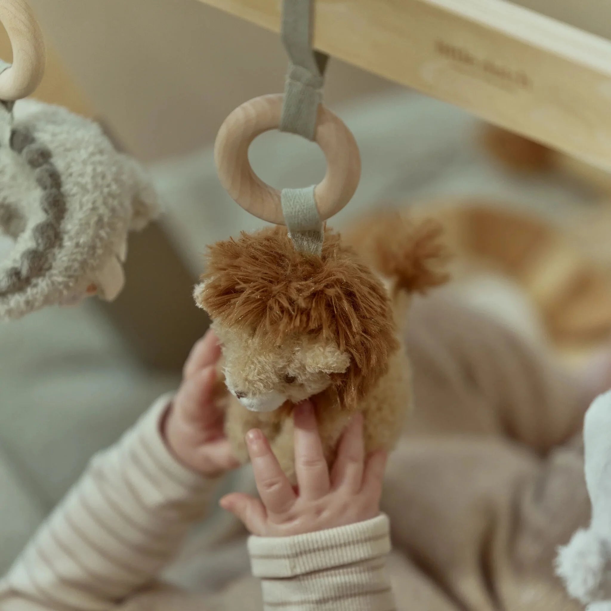 Babygym