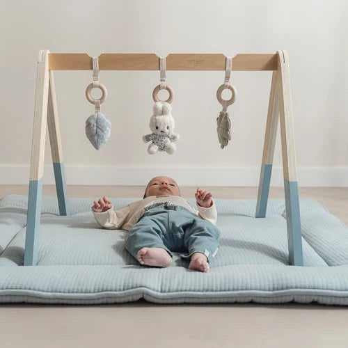 nijntje babygym - Blauw - Lucky Leaves