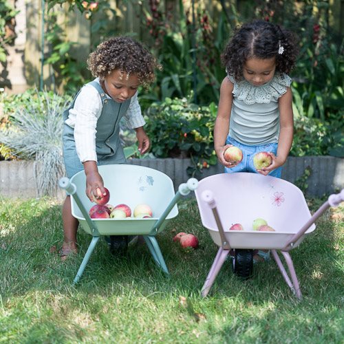 Kruiwagen - Roze - Fairy Garden