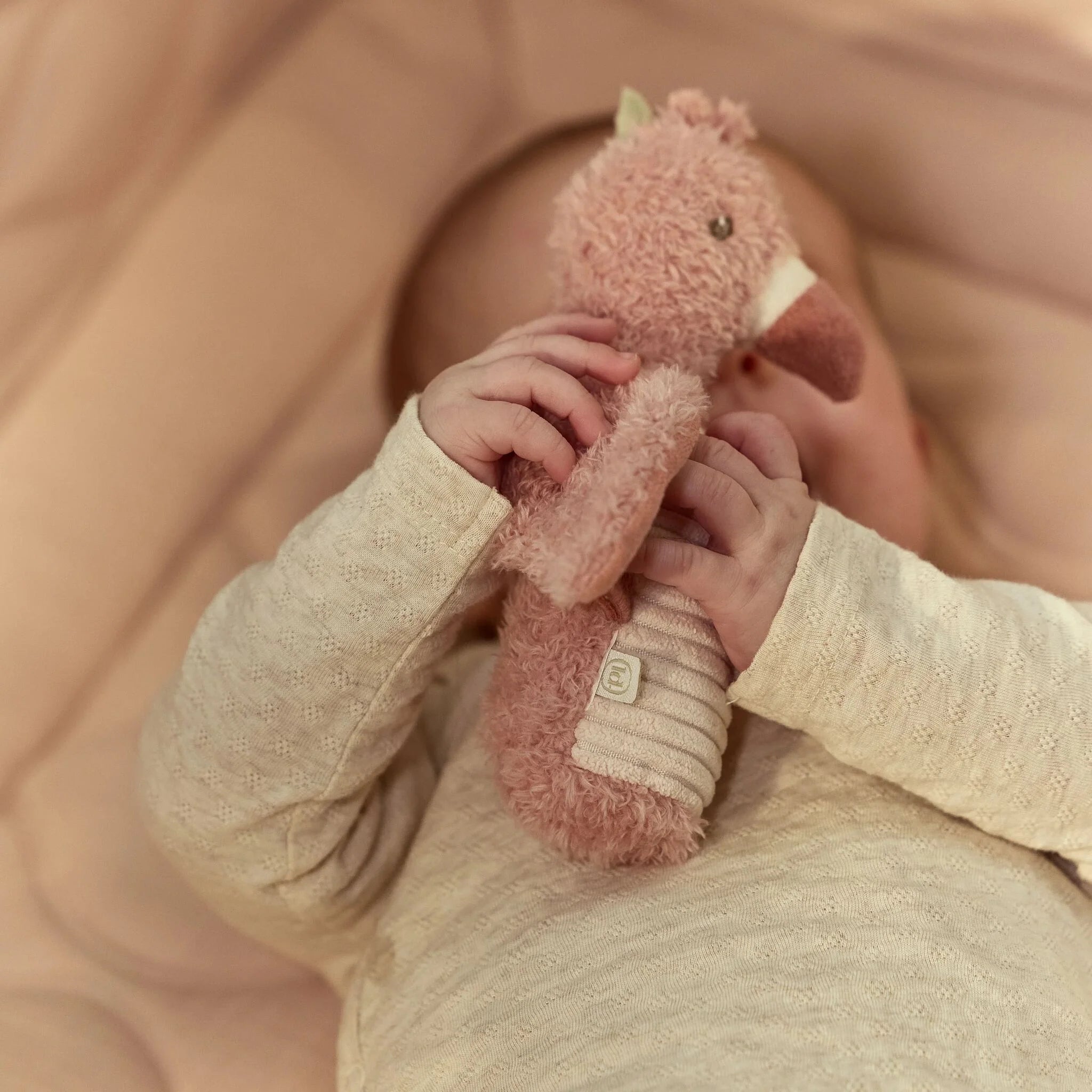 Knijprammelaar Flamingo - Roze