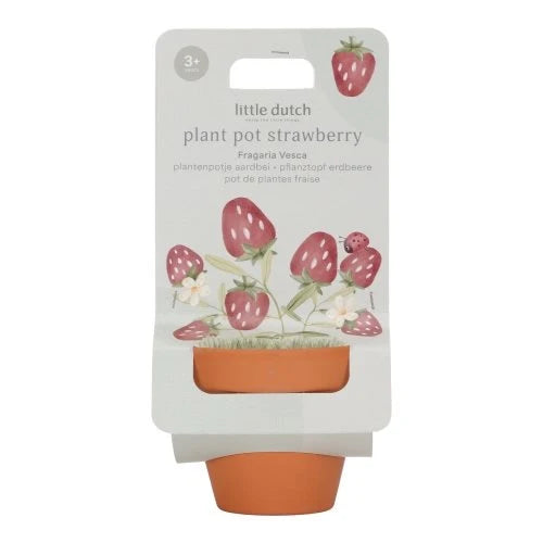 Plantenpotje - Aardbei