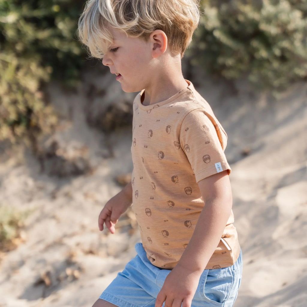 Shirt  korte mouw - Bruin