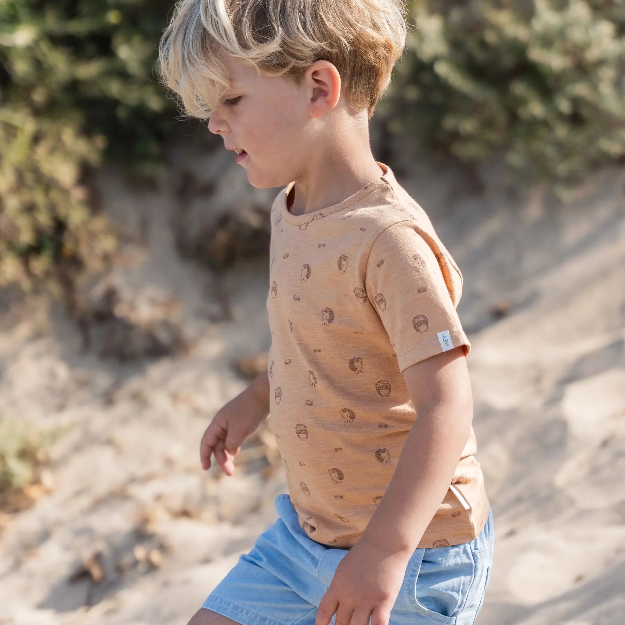 Shirt  korte mouw - Bruin