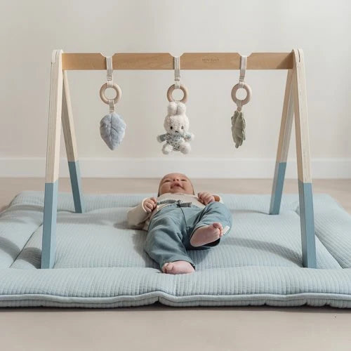 nijntje babygym - Blauw - Lucky Leaves