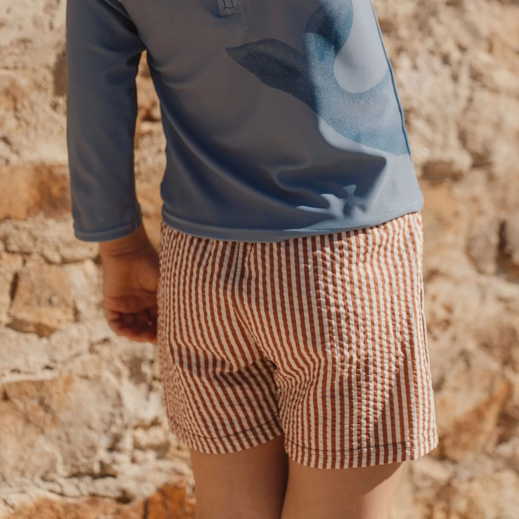 Zwembroek - Bruin - Ocean Brown Stripes