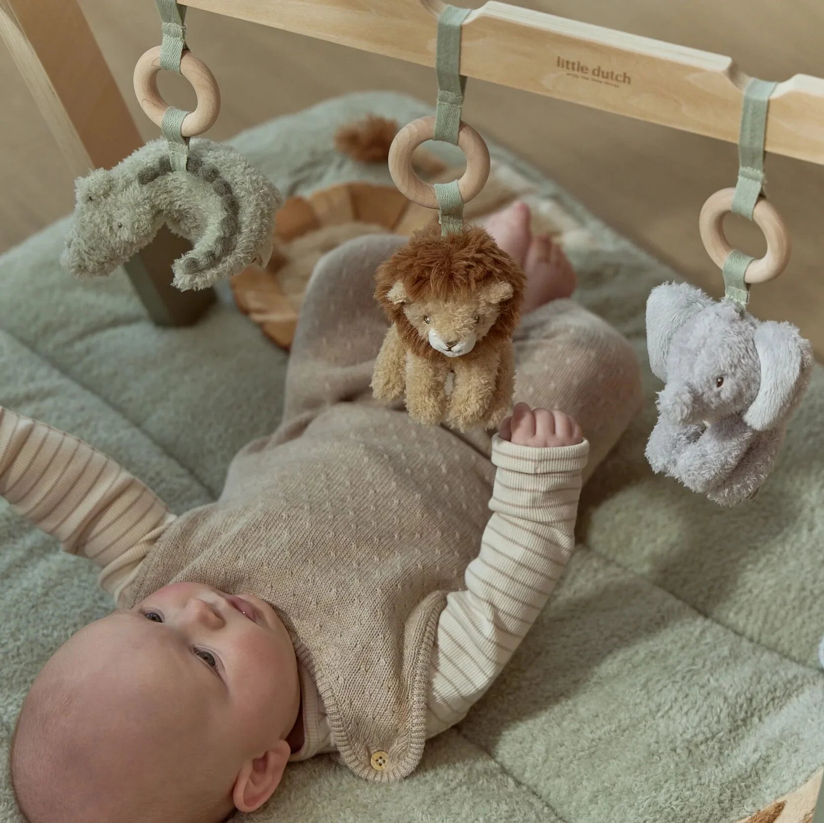 Babygym
