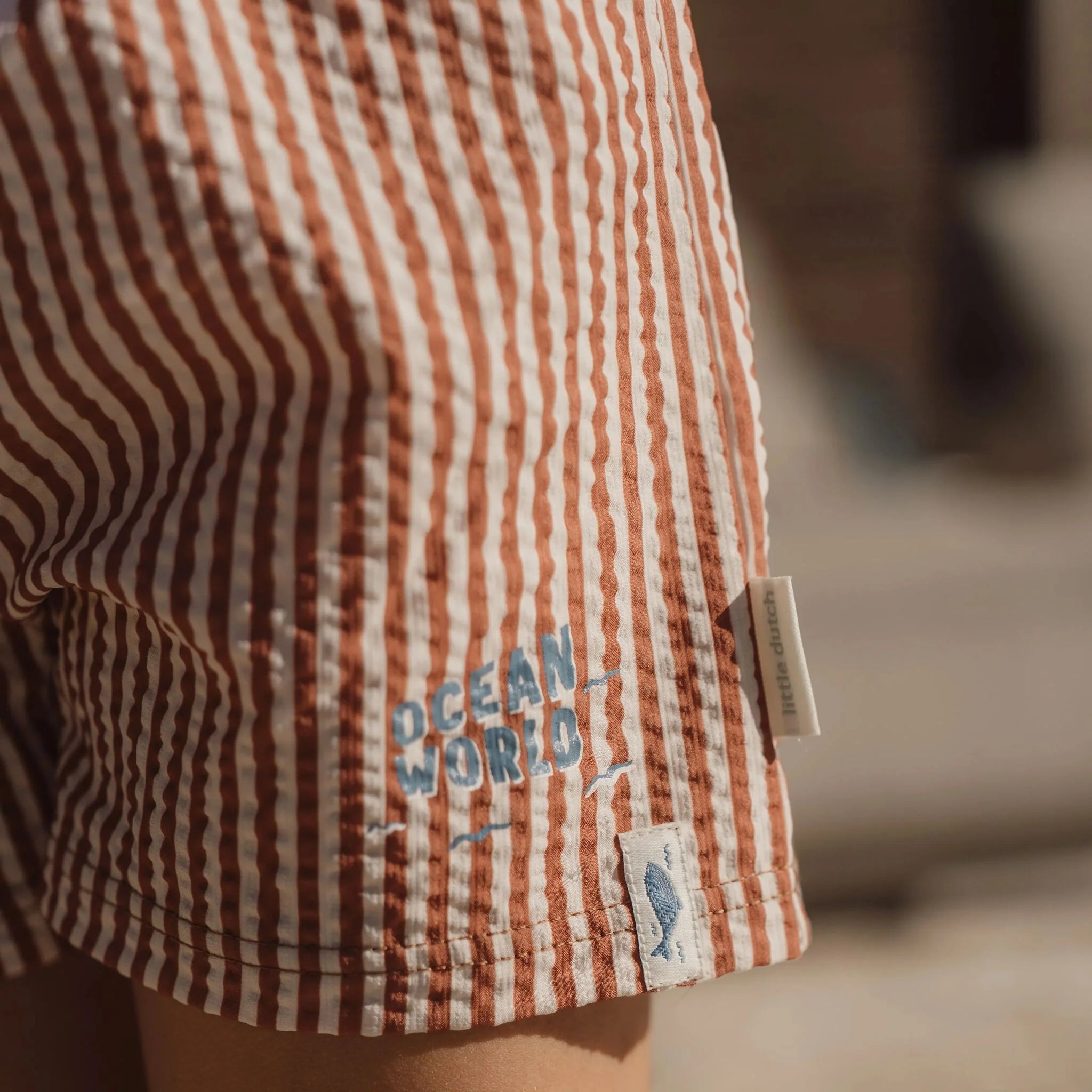 Zwembroek - Bruin - Ocean Brown Stripes