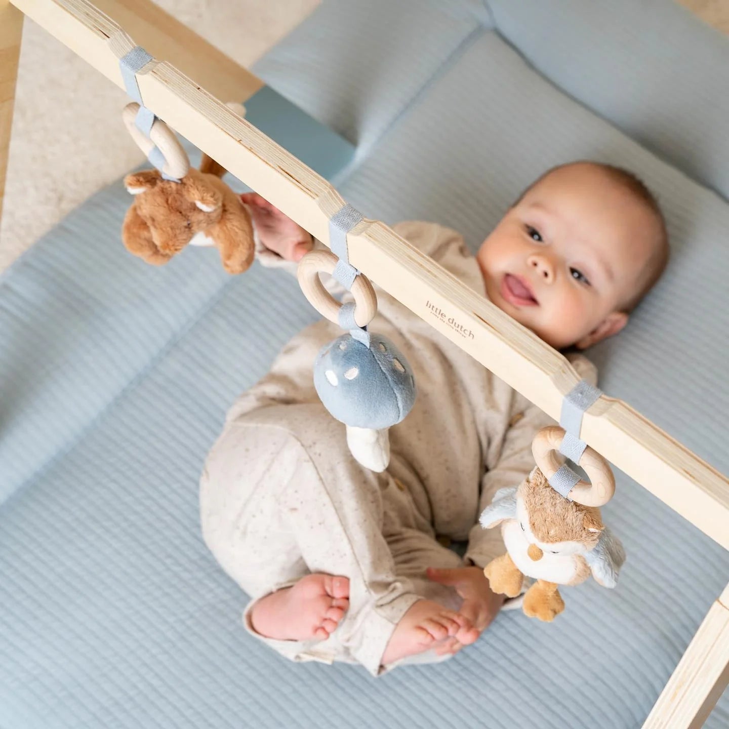Babygym - Blauw - Forest Friends