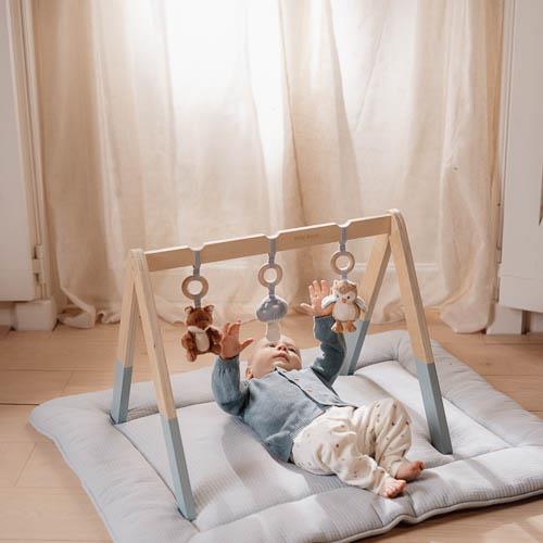 Babygym - Blauw - Forest Friends