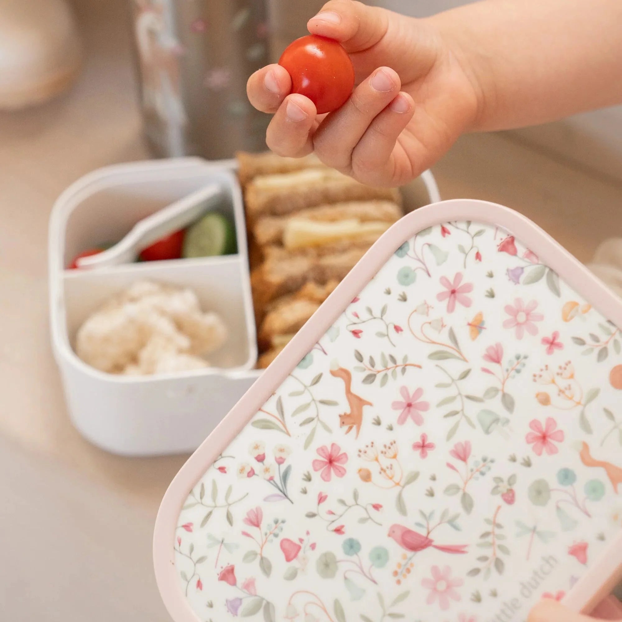 Lunchbox Fairy Wonders