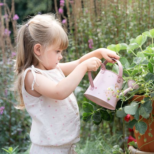 Tuingieter - Roze - Fairy Garden
