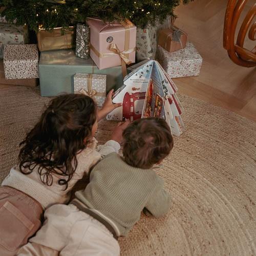 Kerstboek: Bijna Kerst! - NL