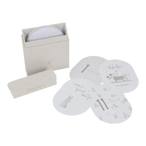 Mijlpaal kaarten - Beige - Baby Bunny - EN