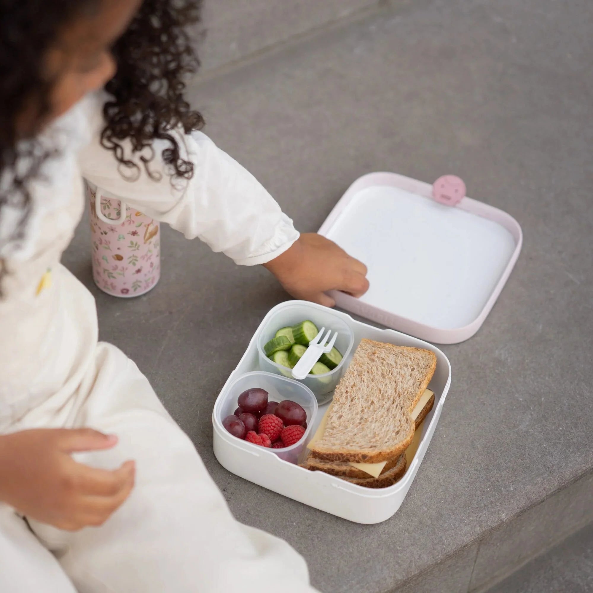 Bento Lunchbox groot Fairy Wonders
