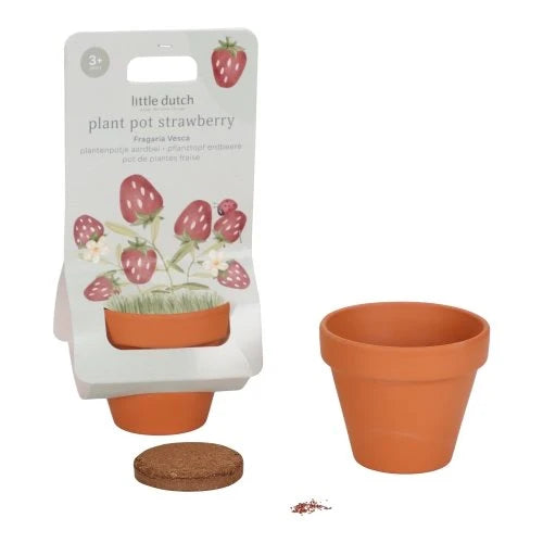 Plantenpotje - Aardbei