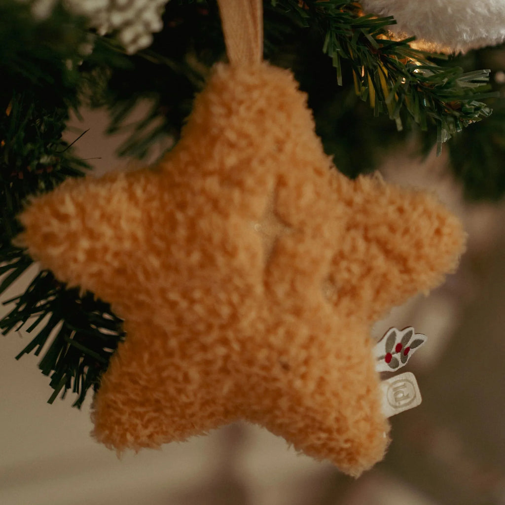 Kersthangers Jim Set – Meerkleurig – Christmas