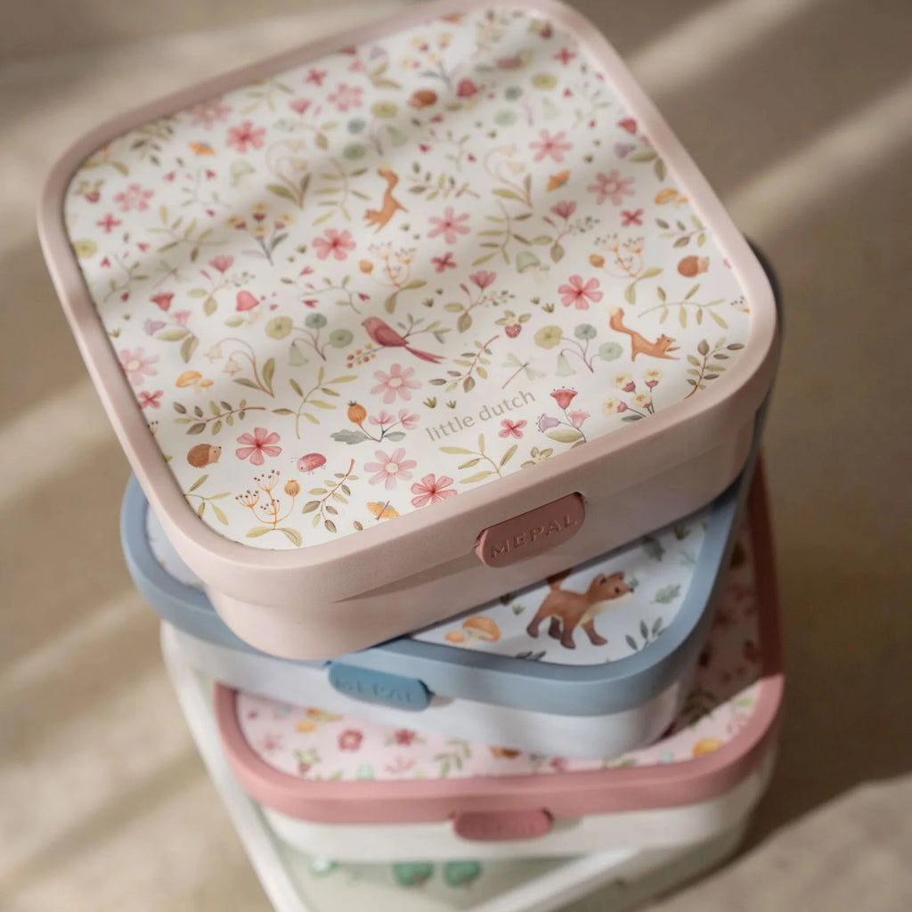 Bento Lunchbox groot Fairy Wonders