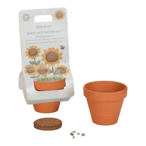 Plantenpotje - Zonnebloem